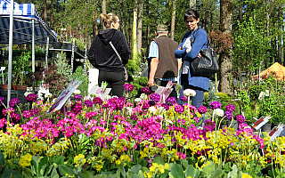 Wybrano hity Wiosennych Targów Ogrodniczych w Olsztynie